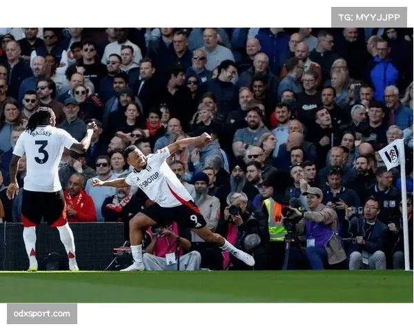 布莱顿对阵富勒姆阿亚里踢倒金未判点球 VAR认定接触不足